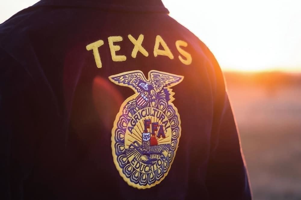 the back of somebody wearing a Texas Agricultural Education jacket in a field at sunrise